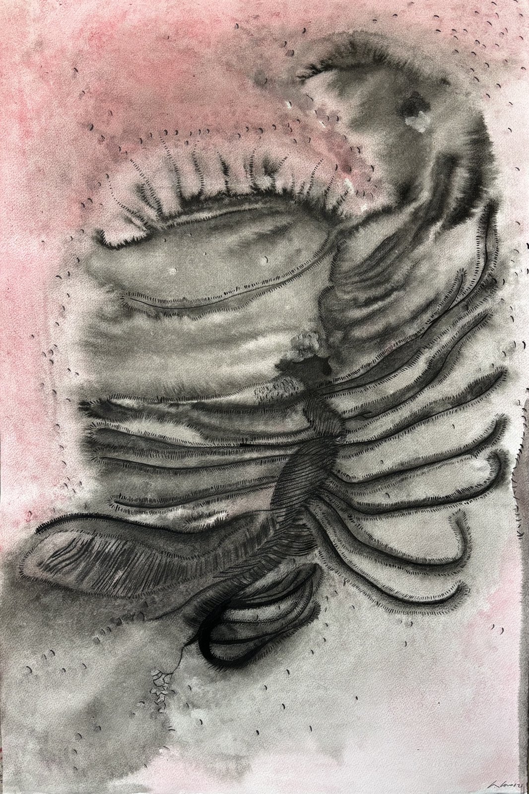 The Butcher's Niece I