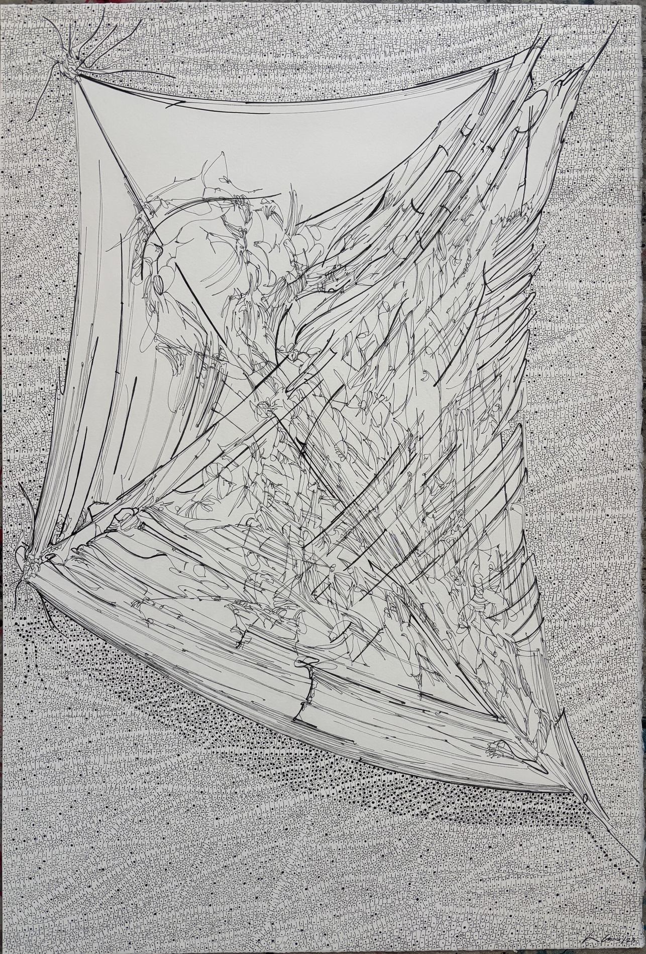 La Cometa
